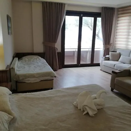 Hotell Istanbul Airport Karam