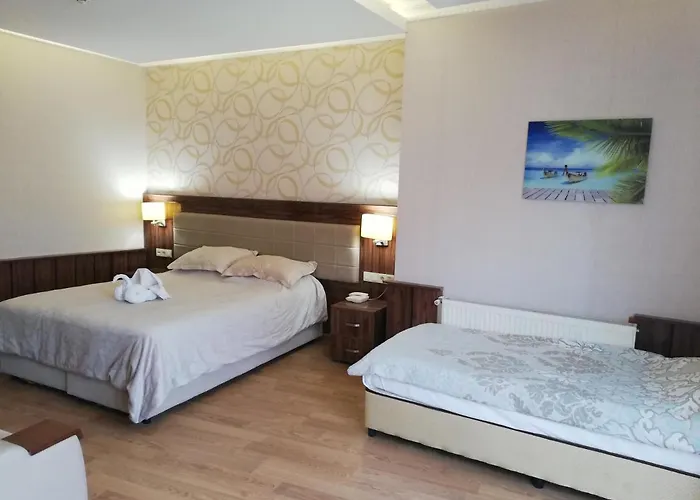 Отель Istanbul Airport Karam Arnavutkoy